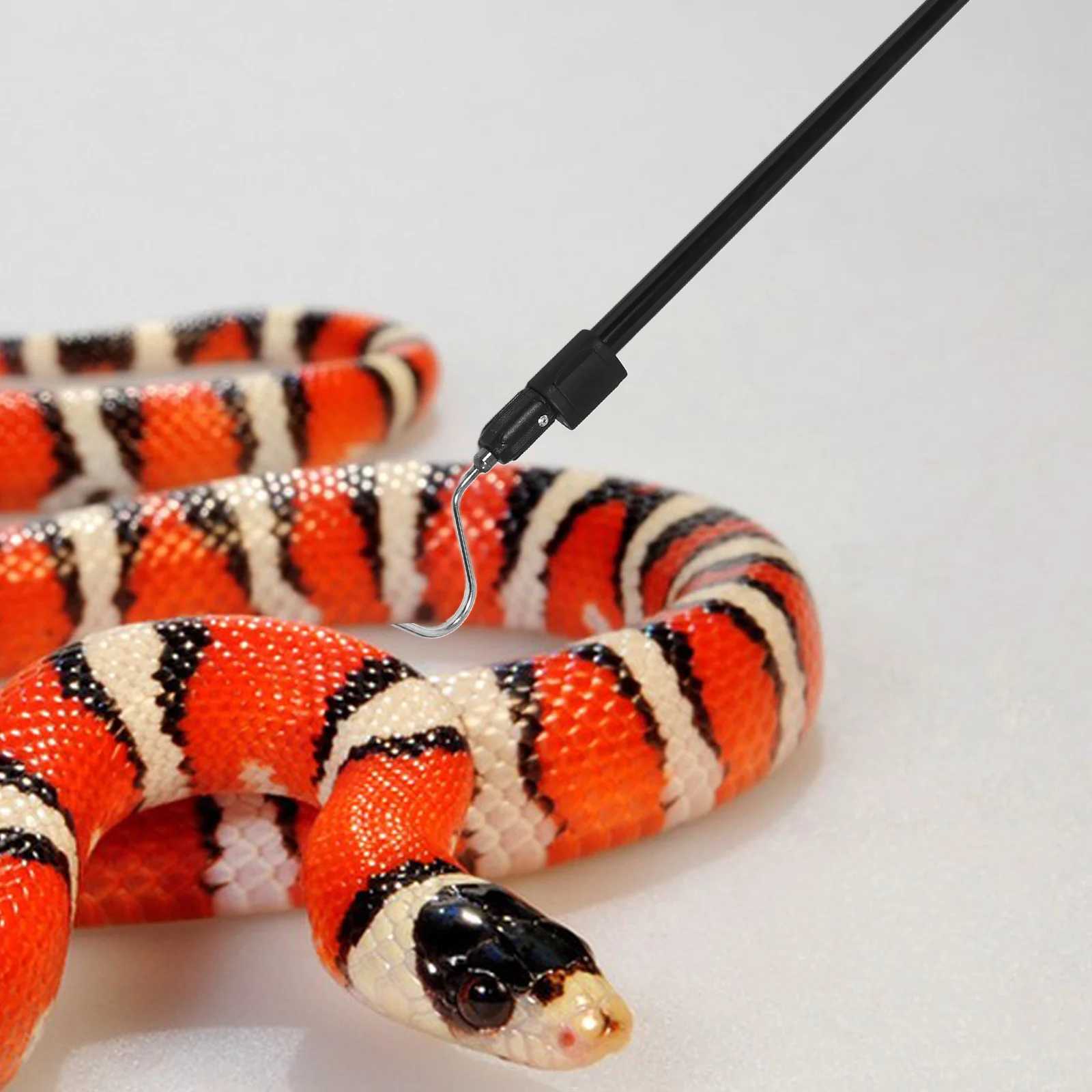 

Telescoping Pole with Hook Snake Handling Tools Durable Antislip Grip Lightweight Easy Control Lizard Catcher Supplies