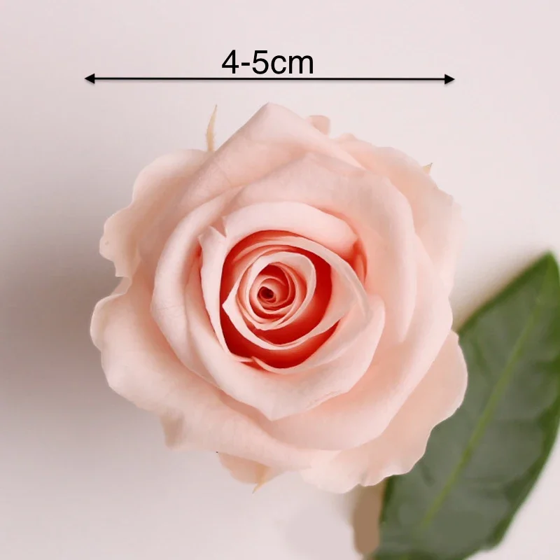 8 pz/scatola Rose stabilizzate immortali di grado B Rose 4-5CM di diametro decorazione di nozze fai da te natale fiore eterno della vita materiale