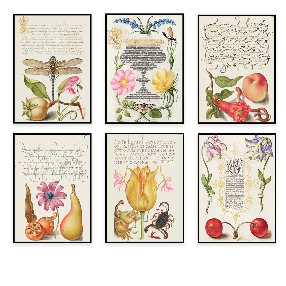 Fruits and flowers, butterflies, pears and molluscs, mushrooms, calligraphy template, nature literary floral botanical poster