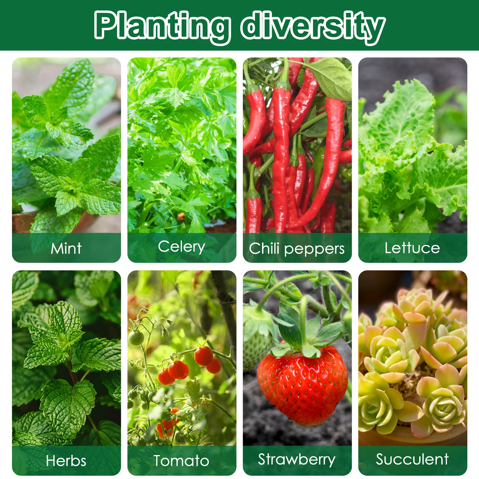 50 قطعة تنمو الإسفنج المائية كاتب المقابس البستنة البذور كاتب الإسفنج شق مائل البذر وقطع كتلة الركيزة #6