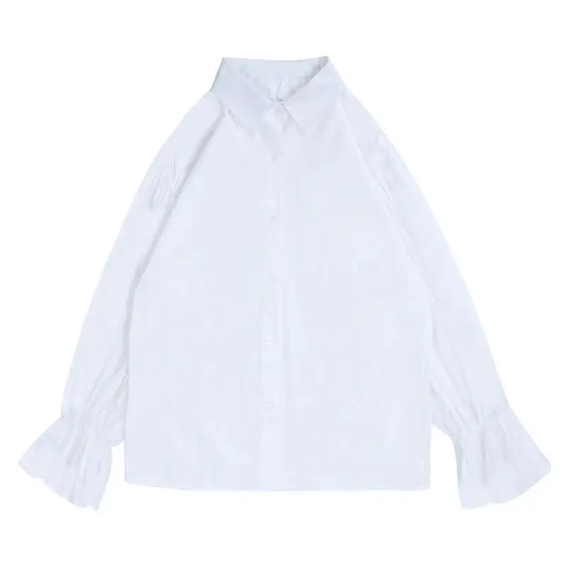 

Long Sleeve Shirts Women Chiffon V Neck Relaxed Fit Ruffled Trim Romantic Feminine Preppy Youthful Spring Look Comfortable Sheer