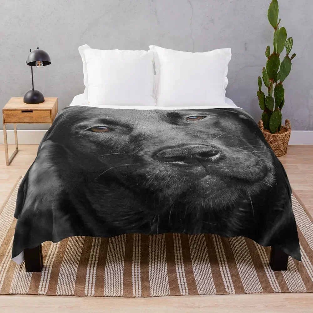 

Black Labrador dog Throw Blanket Thermals For Travel sofa bed Personalized Gift Blankets