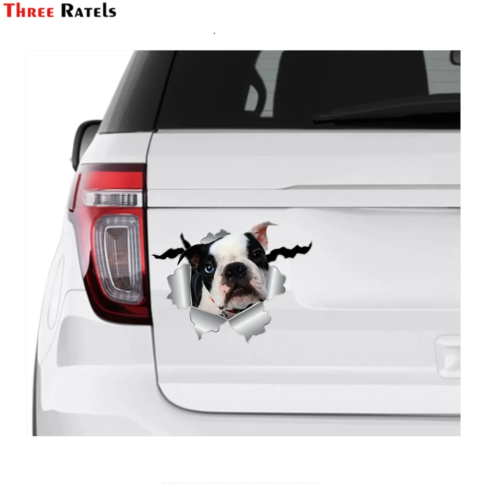 

Three Ratels I637 Cute Dog Lover Gift Animal Sticker For renault clio Auto Accessories