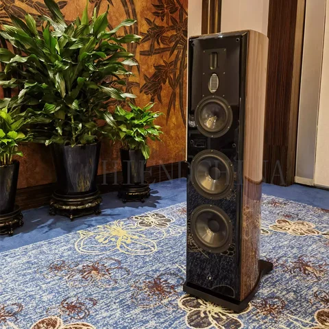 AURUM CANTUS Grand Harmony DSP Electronic Frequency Division Active HiFi 3 Way 5 Unit 3 Power Amplifier Speaker
