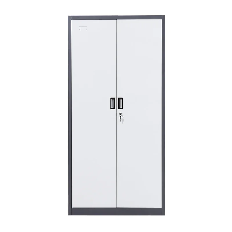 Morden style 2 door garage metal filing cabinets in office