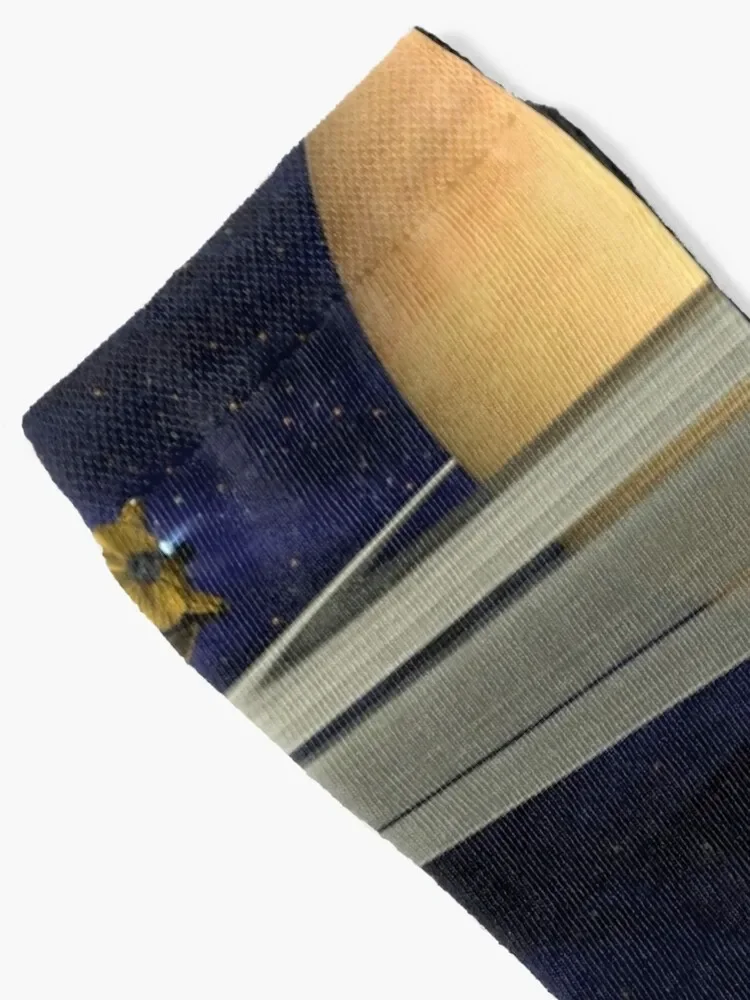 MISSION TO SATURN Cassini-Huygens Socks Novelties hockey hiking Mens Socks Women's