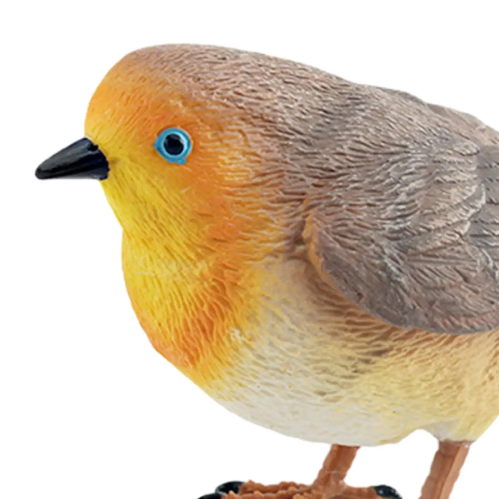 Simulation Bird Figures Toy Bird Model Sculpture for Boys Girls Miniature Birds Decor Bird Figurines for Garden Cake Toppers