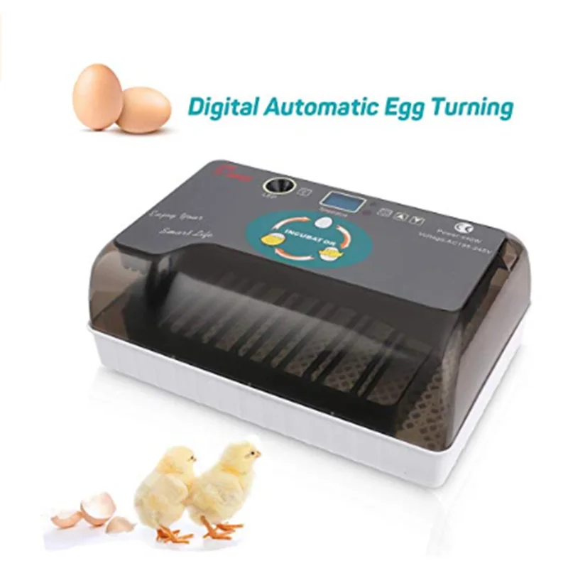 

Incubator full-automatic intelligent chicken, duck, turtle, bird and egg incubator Small household incubator 12 fully automatic.