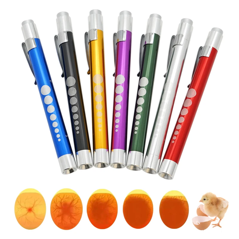 1Pcs Egg Candler Tester High Intensity Cool LED Light Candling Lamp Rechargeable For All Types Egg Broody Or Incubator Monitor