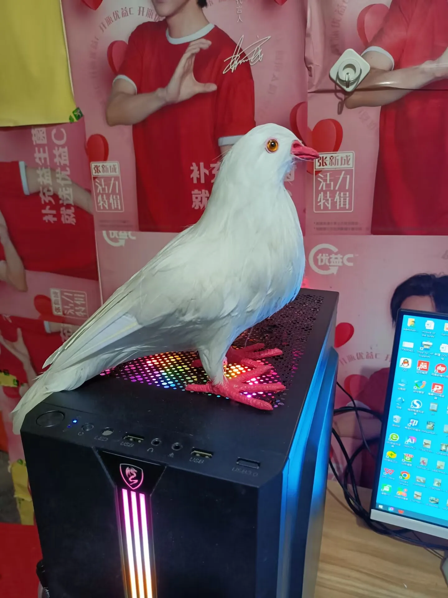 big foam&feather simulation dove model garden home decoration about 33cm d0658
