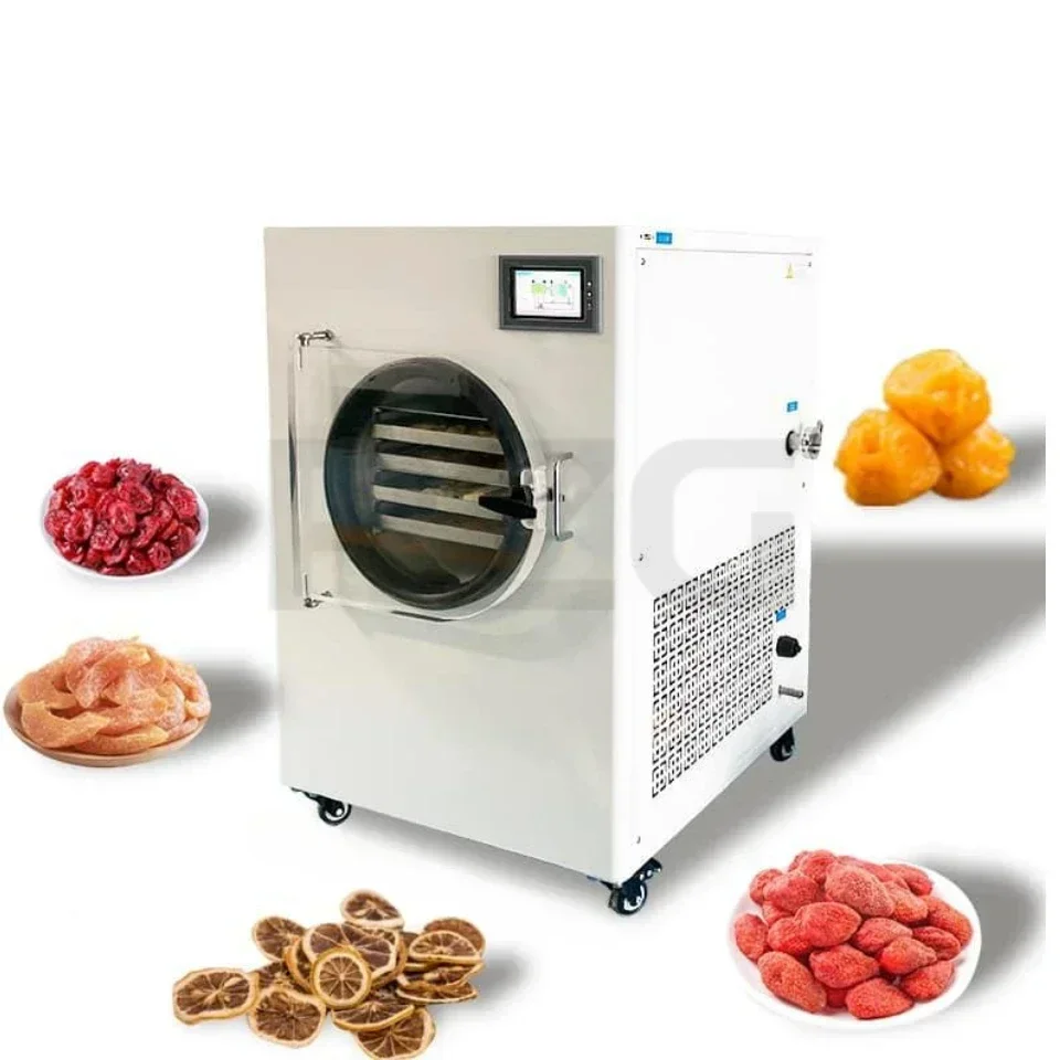 househol Fruit Food Mini Vacuum Dried Home freez Dryer Lyophilizer With Vacuum Pump Machine USA