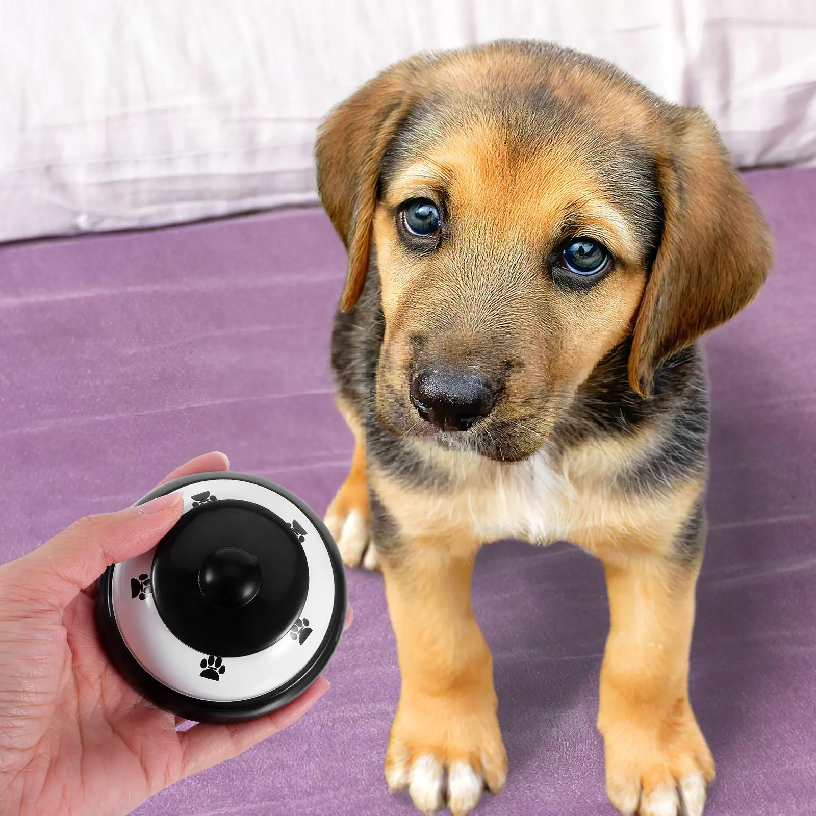 Dog Cat Potty Training Bell Paw Press Button Loud Sound Interactive Doorbell Communication Training Dog Doorbells view 6