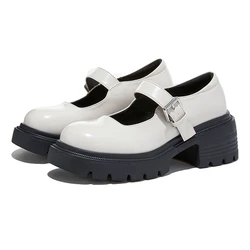 AIYUQI Mary Jane Shoes For Women 2026 New Platform Shallow-mouth British Style Genuine Leather Large-size Spring Shoes Female