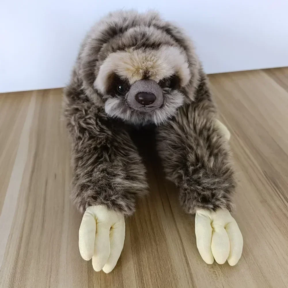 สวนสัตว์ 35 ซม.จําลองเหมือนจริงสาม Toed Sloth Plush ของเล่น Folivora ตุ๊กตาสัตว์ตุ๊กตาวันเกิดคริสต์มาสของขวัญเด็ก