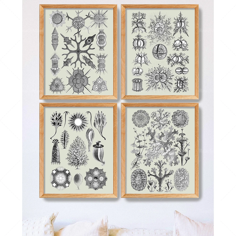 

Retro Erkl Marine Biology Printing, Scientific Clash Wall Art Poster Decoration