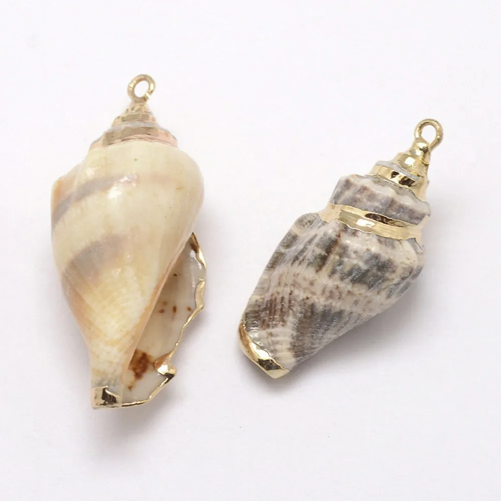 10pcs  Electroplated Conch Shell Pendants 26~52x13~23x15~17mm Hole: 2mm