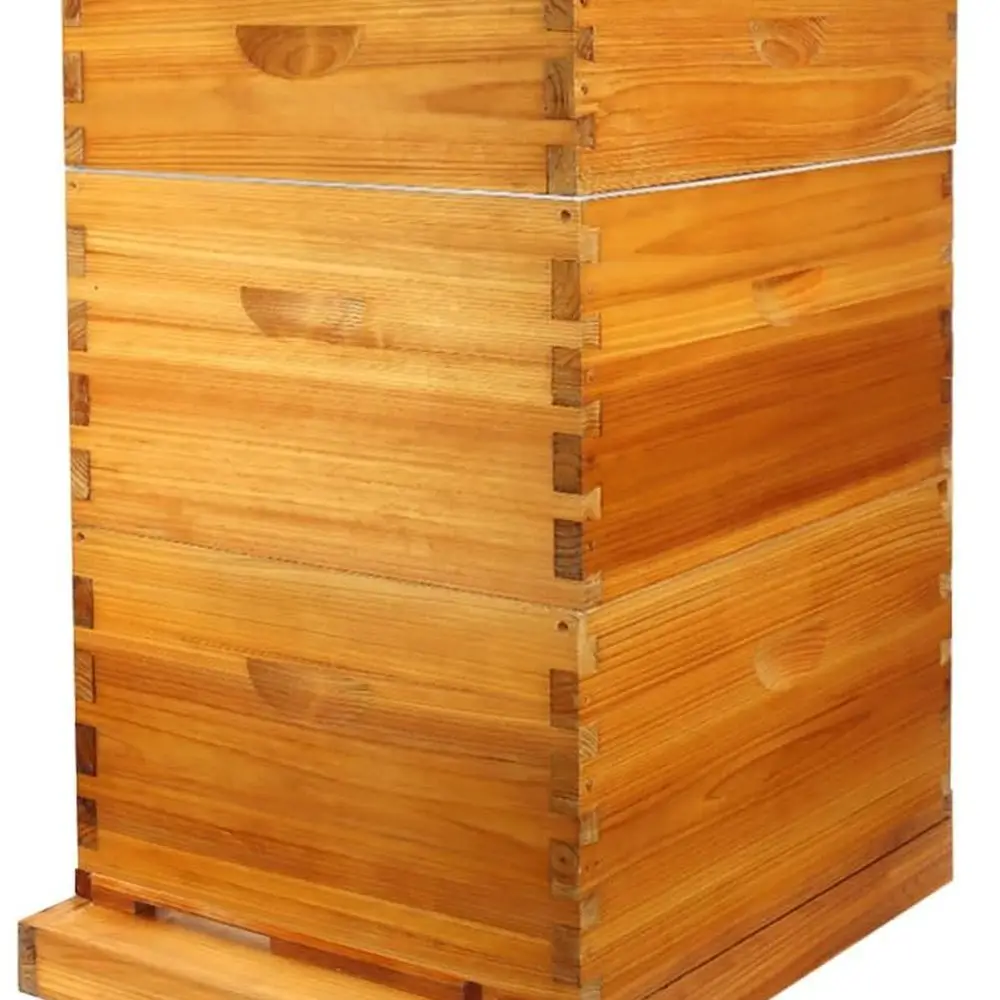 10 Frame Langstroth…