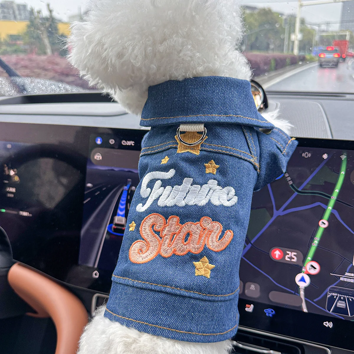 future-star-denim