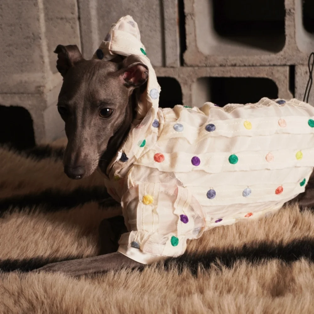 colorful-pom‑pom-hooded-summer-coat-dog-2‑leg-jumpsuit-mesh-ruffle-breathable-clothes-for-italian-greyhound-whippet-in-spring