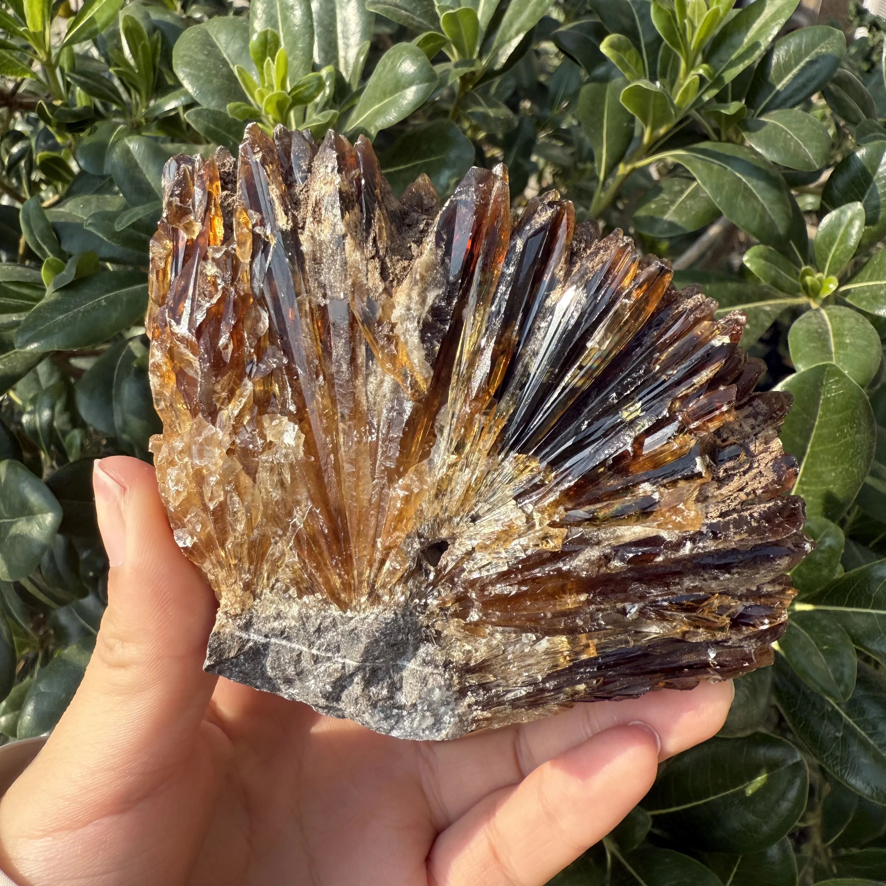 High Quality Natural Yellow Amber Calcite Raw Stone Crystals Cluster Gem Mineral Specimens Healing Gift