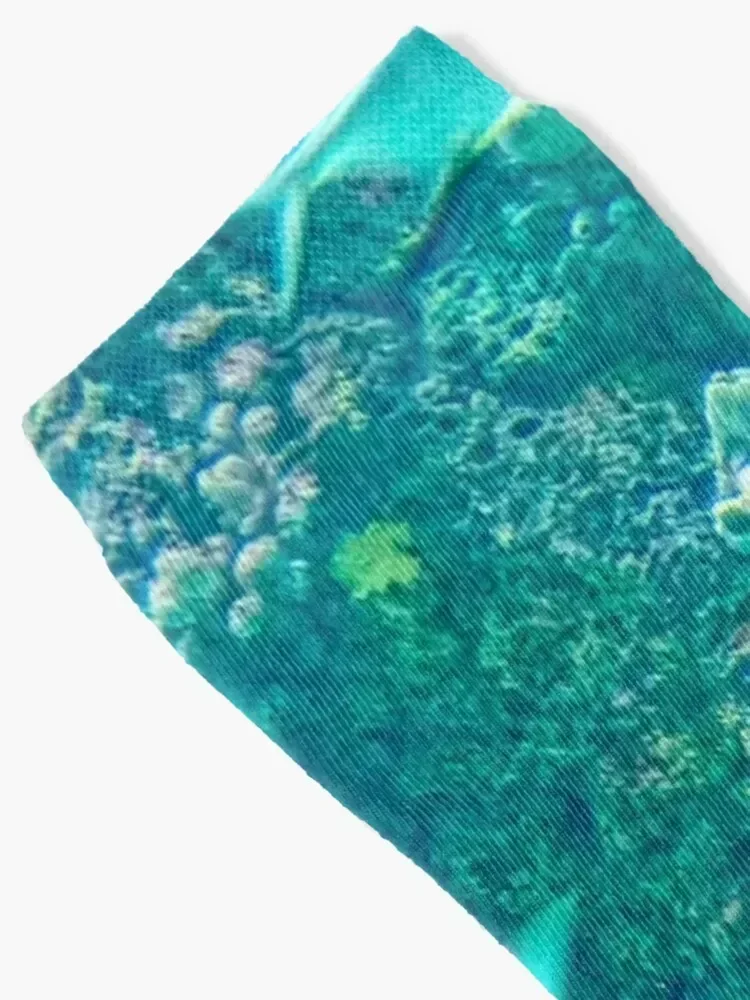 Aquarium, Reefs Socks Stockings man essential Run heated Male Socks Women's