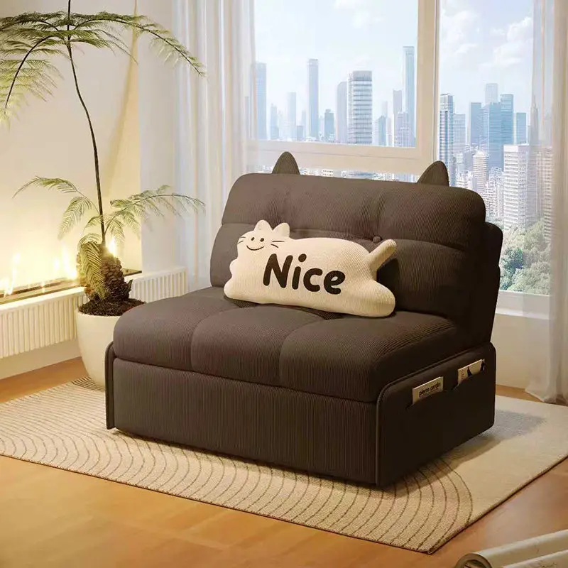 

Single Brown Living Room Sofas Designer Minimalist Sleeper Living Room Sofas Lounges Convertible Divano Letto Furniture For Home