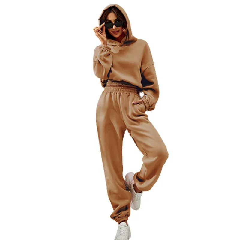 Autumn Winter Women Sports Set Solid Color Casual Short Hoodie Straight Pants Elasticated Waist Leggings Female Two-piece Suits