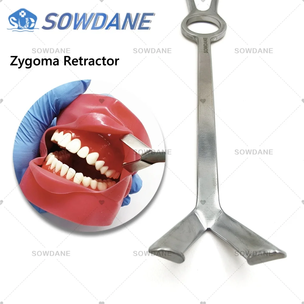 

1 piece Dental Lip Cheek Retractor for Lateral Teeth in The Upper Jaw Surgical Retractor Zygoma Retractor Stainless Steel