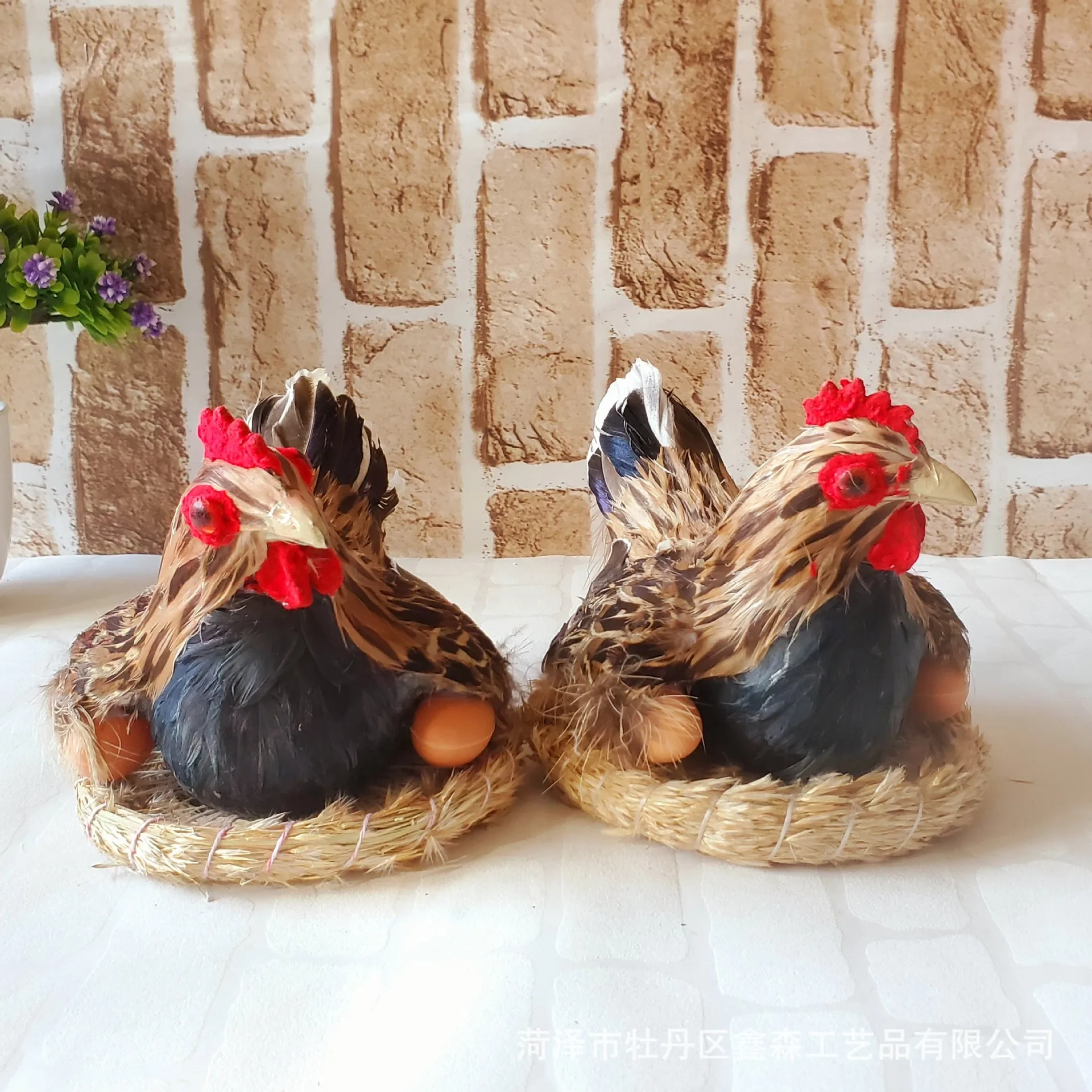 【Hatching】Rooster, hen, laying hen, feather hatching hen, specimen photography, children's cognition/fresh ornaments