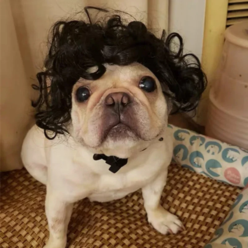 Pet Wigs Cosplay Props Funny Dogs Cats Cross-Dressing Hair Hat Costumes Head Accessories For Halloowen Christmas Pets Supplies