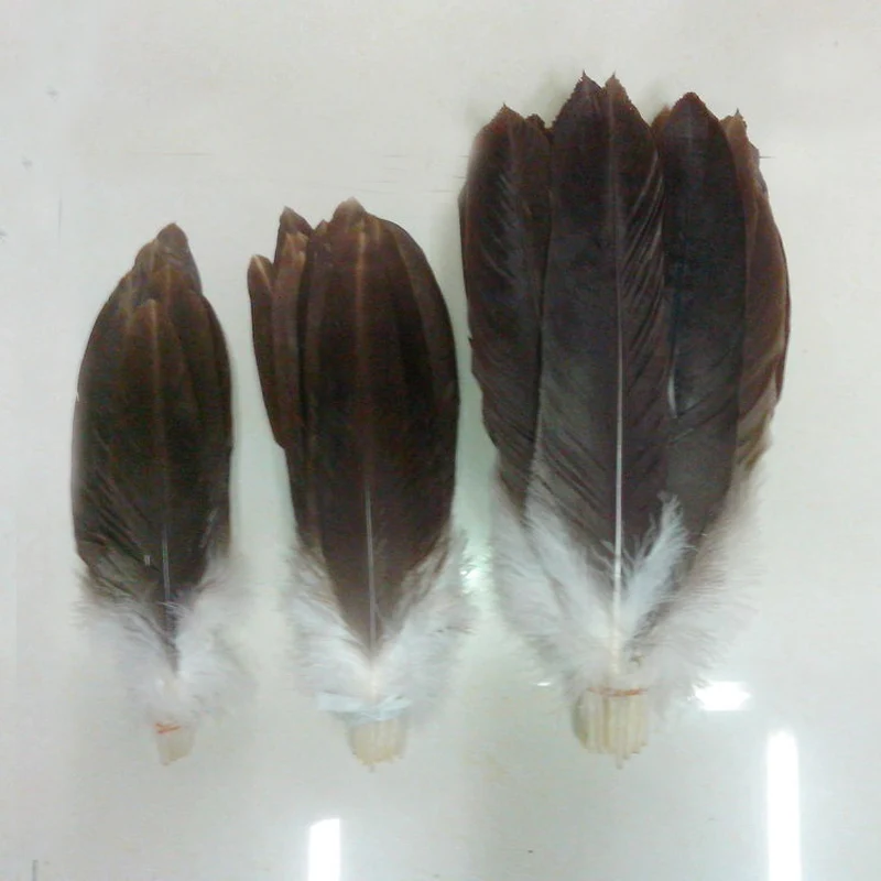 

10 шт., 20-45 см, красивый натуральный орел, оперение, редкая большая птица, ястребные перья, праздничное украшение одежды