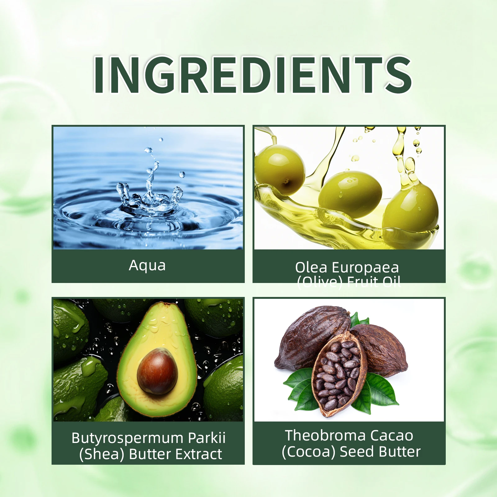 زبدة الجسم بزيت الزيتون المخفوق 171 مل مرطب طبيعي للبشرة الجافة وزبدة الشيا والكاكاو خفيفة غير دهنية لجميع أنواع البشرة