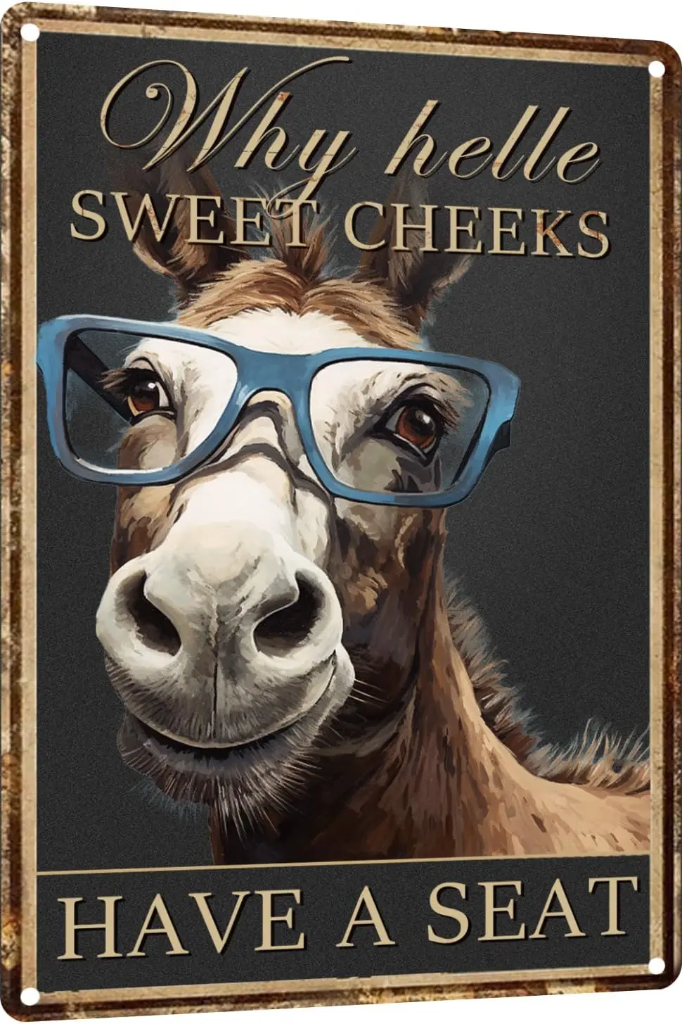 Funny Toilet Restroom Black Donkey Hello Sweet Cheeks Have A Retro Metal Tin Sign Vintage for Home Coffee Wall Decor (829)-