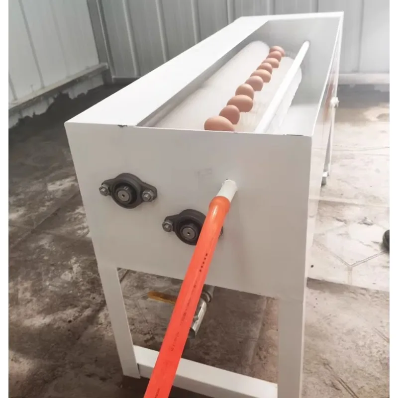 ماكينة غسل الدجاج والبط والبيض من الفولاذ المقاوم للصدأ معدات تنظيف البيض التجارية