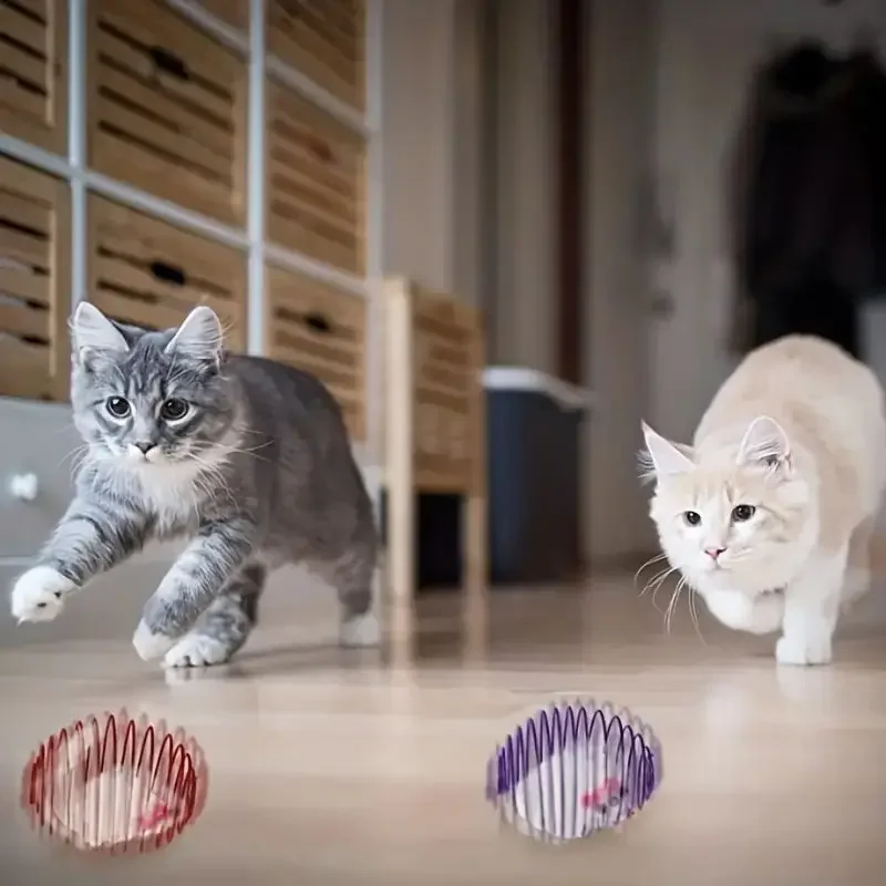 1pcs Cat Toy Assortment with Springs & Balls, Random Bright Colors for Multi-Cat Household, Satisfies Chase & Pounce Instincts