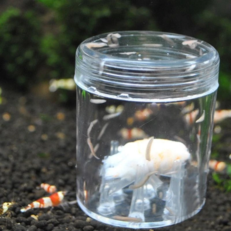 

2025 New Planarian Trap Leeches Catcher Aquatic Worm Traps for Shrimp Fish for Tank Aquar