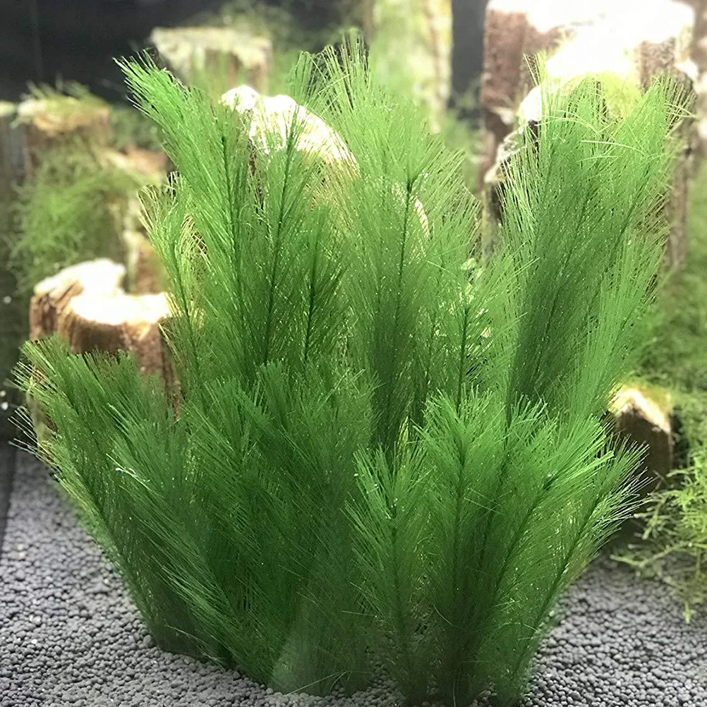 

3pcs Artificial Plants Fake Water Grass Decorations for Fish Fish Tank Grass Tank Safe Durable Pet Supplies Scenery
