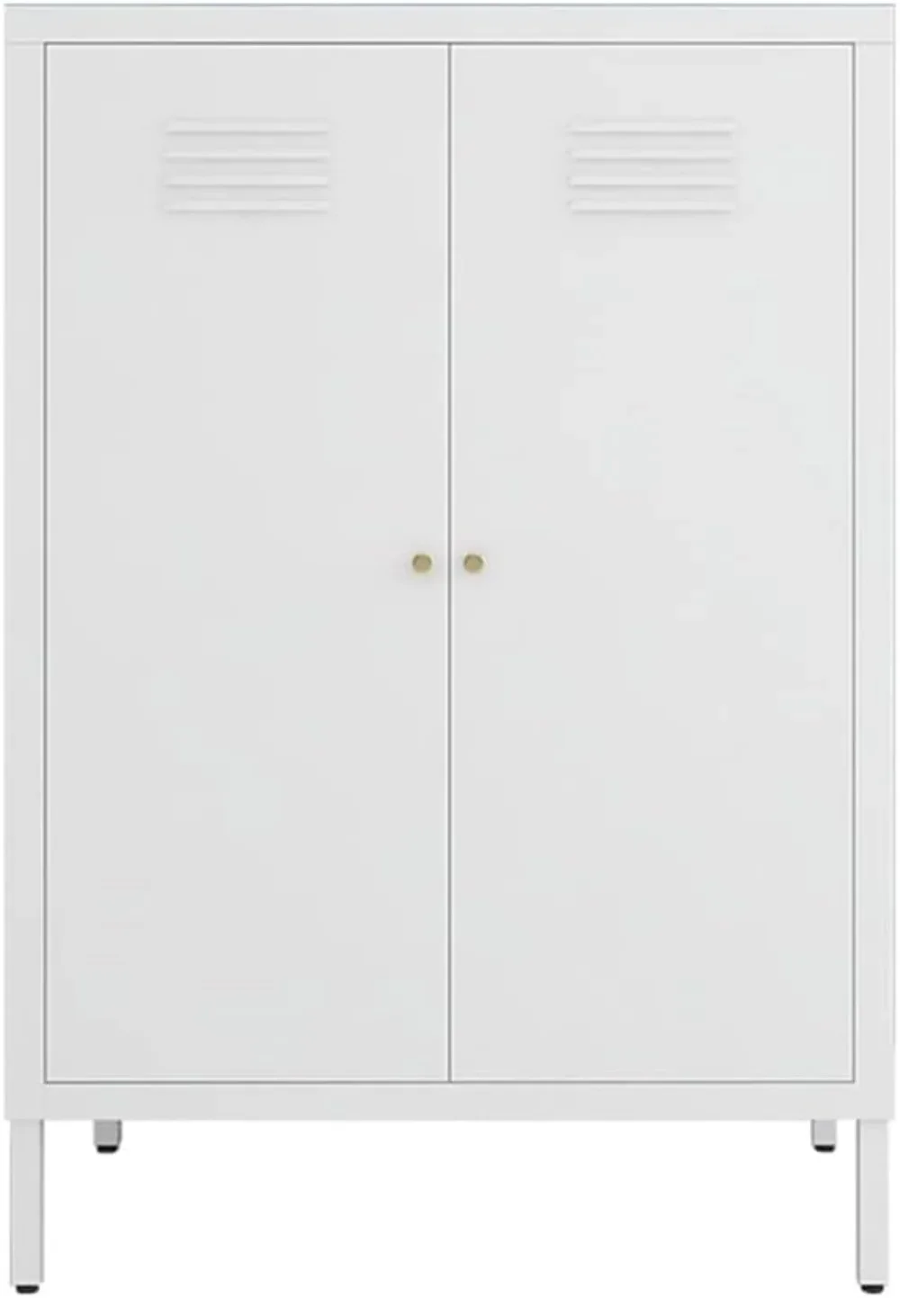 

2 Door Metal Locker Storage Cabinet with 2 Adjustable Shelves,Steel Locker Cupboard for Bedroom, Bedside, Office Room