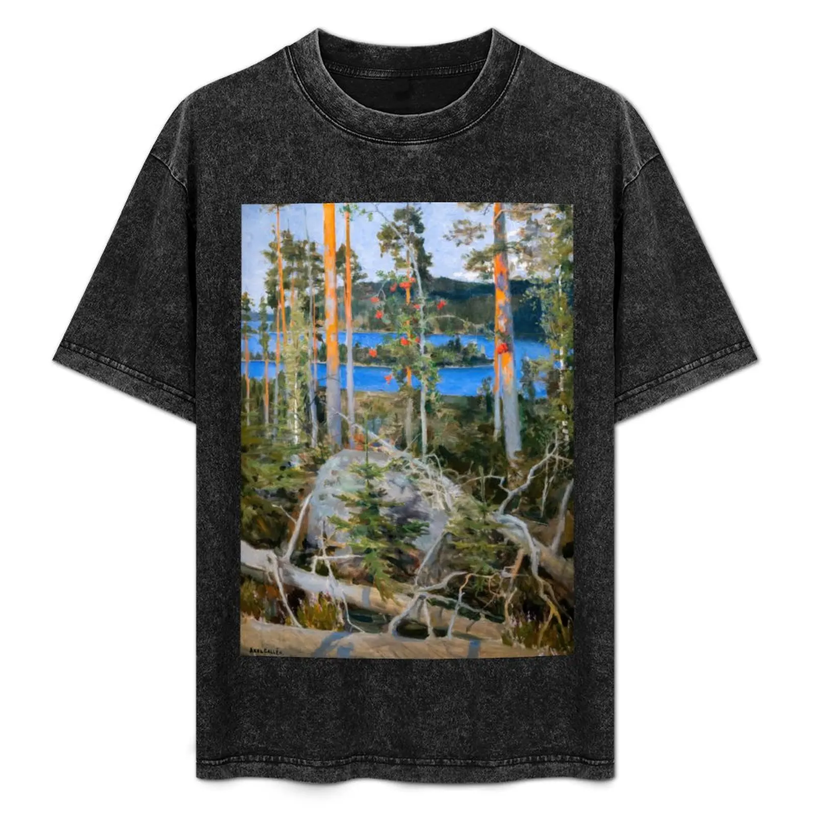 Akseli Gallen-Kallela - Lake in the Wilderness T-Shirt oversized t shirt summer clothes anime clothes tshirts for men