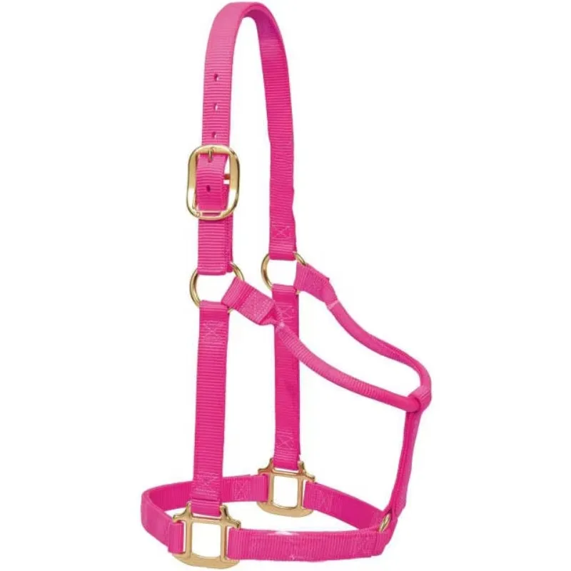 Customize Equip Adjustable Horse Halter Horse Racing Head Collar Equestrian Equine Products