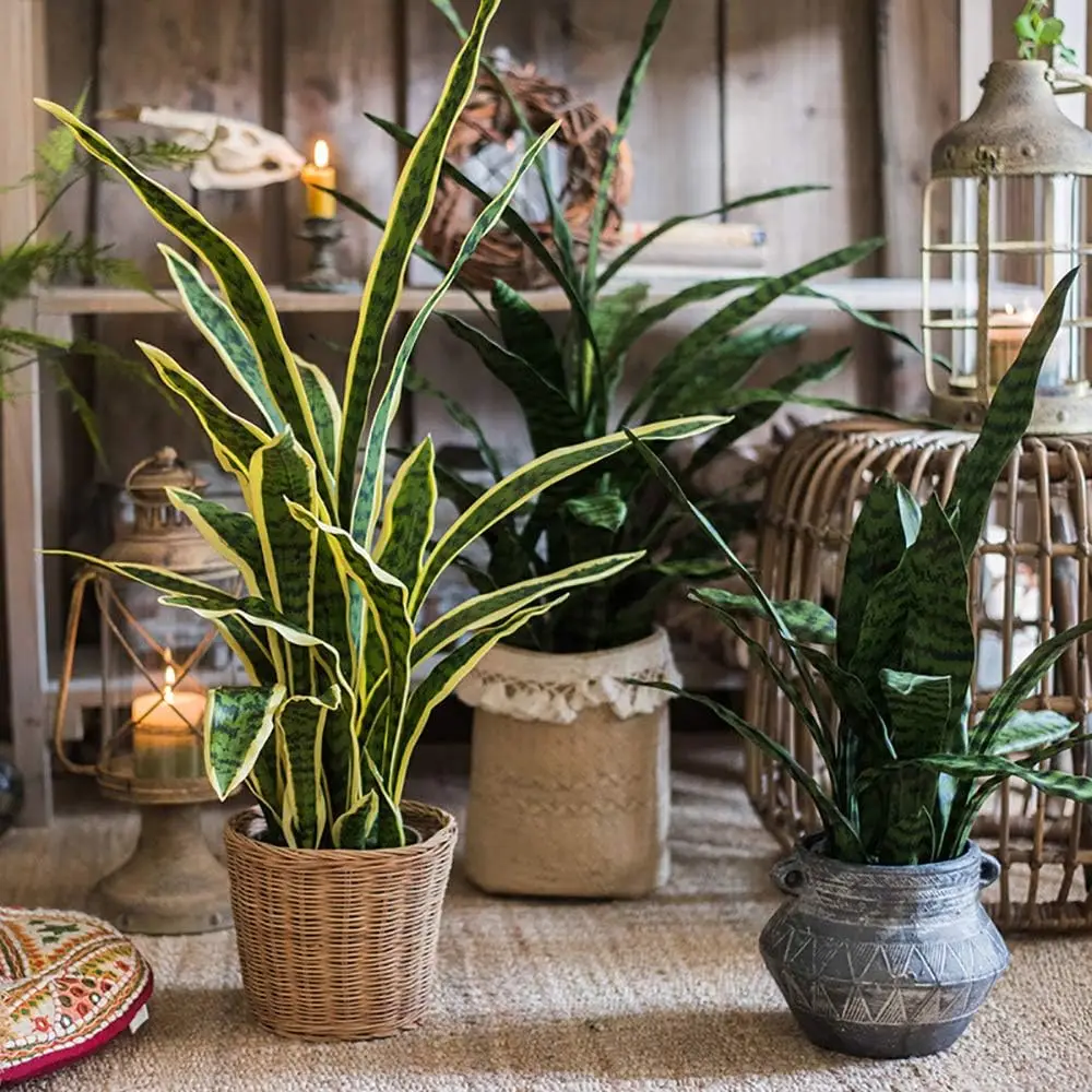 Plante serpent artificielle, branche unique, couronne d'aménagement paysager d'intérieur, Agave bleue, décoration de sol nordique, plantes vertes