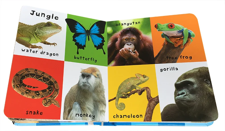 First 100 Animals, Baby Children's books aged 1 2 3, English picture book, 9780312510794