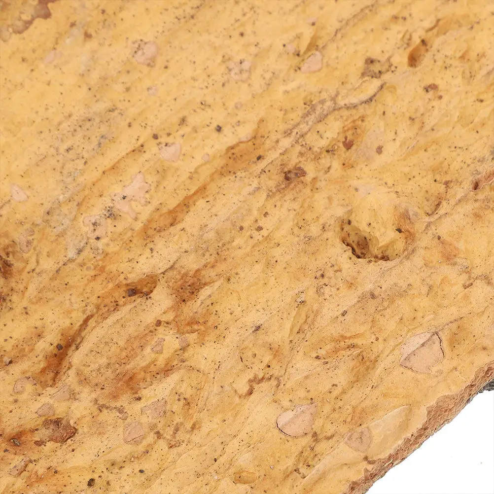 2 Stück Terrarium-Korkrinden-Dekoration, Reptilien-Terrarium-Dekorationen, Hintergrundrinden für Eidechsen und Schlangen, natürliche Kletterstruktur – Detail 3
