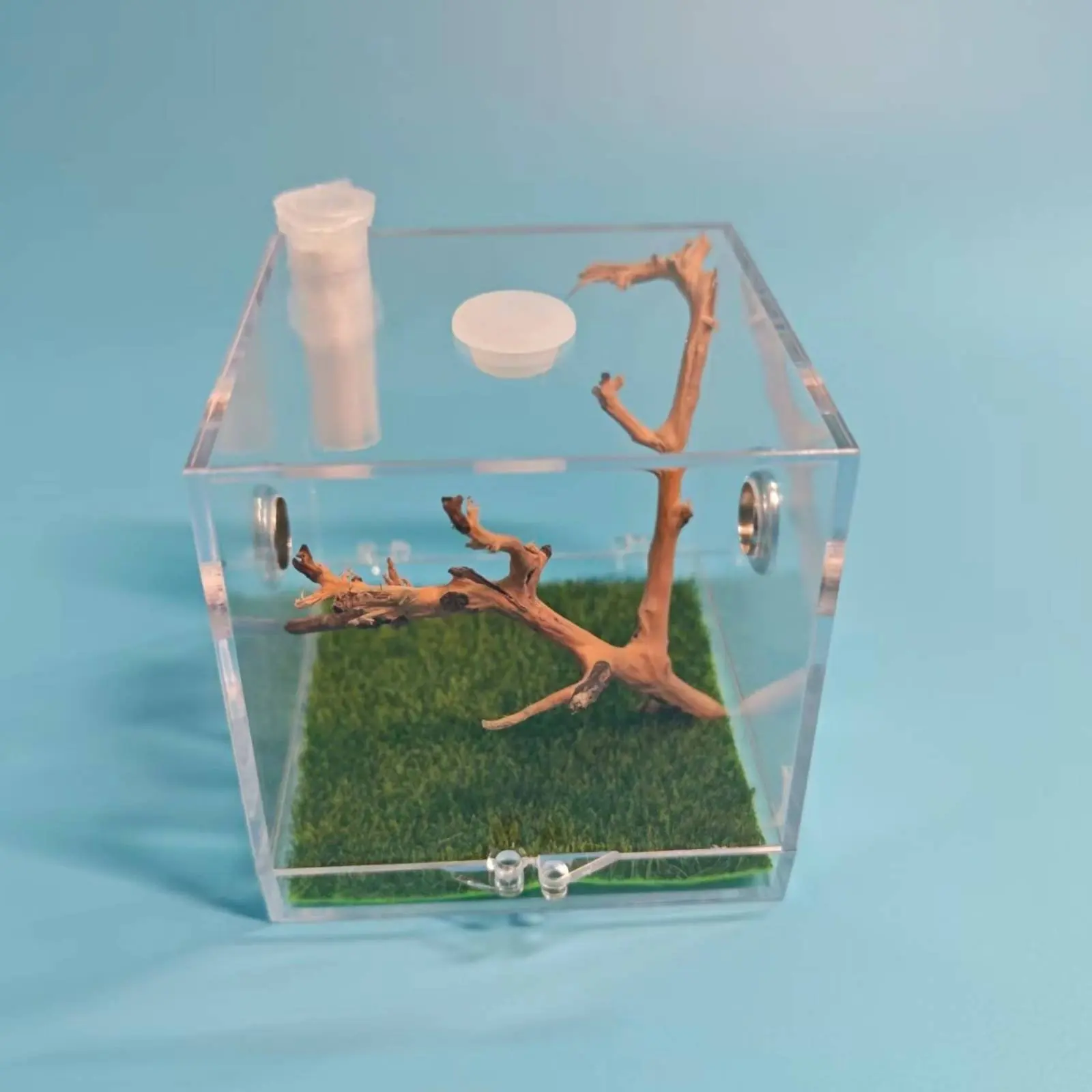 

Jumping Arachnid Terrarium High Clarity Acrylic Arachnid Enclosure Mantis Habitat Anti Escape Design Transparent Herptile Box
