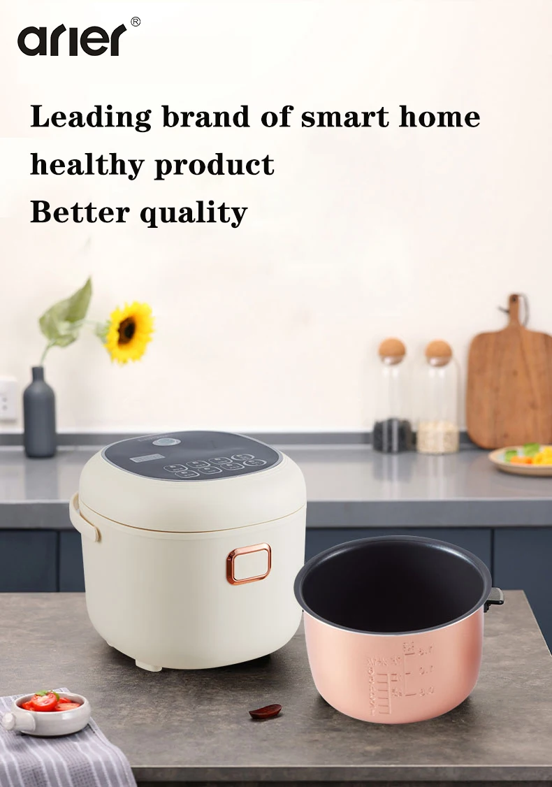 110v 220v  Rmier muti-functional rice cooker mini 2L intelligent reservation 3 to 4 family small dormitory  4 to 5 people eating