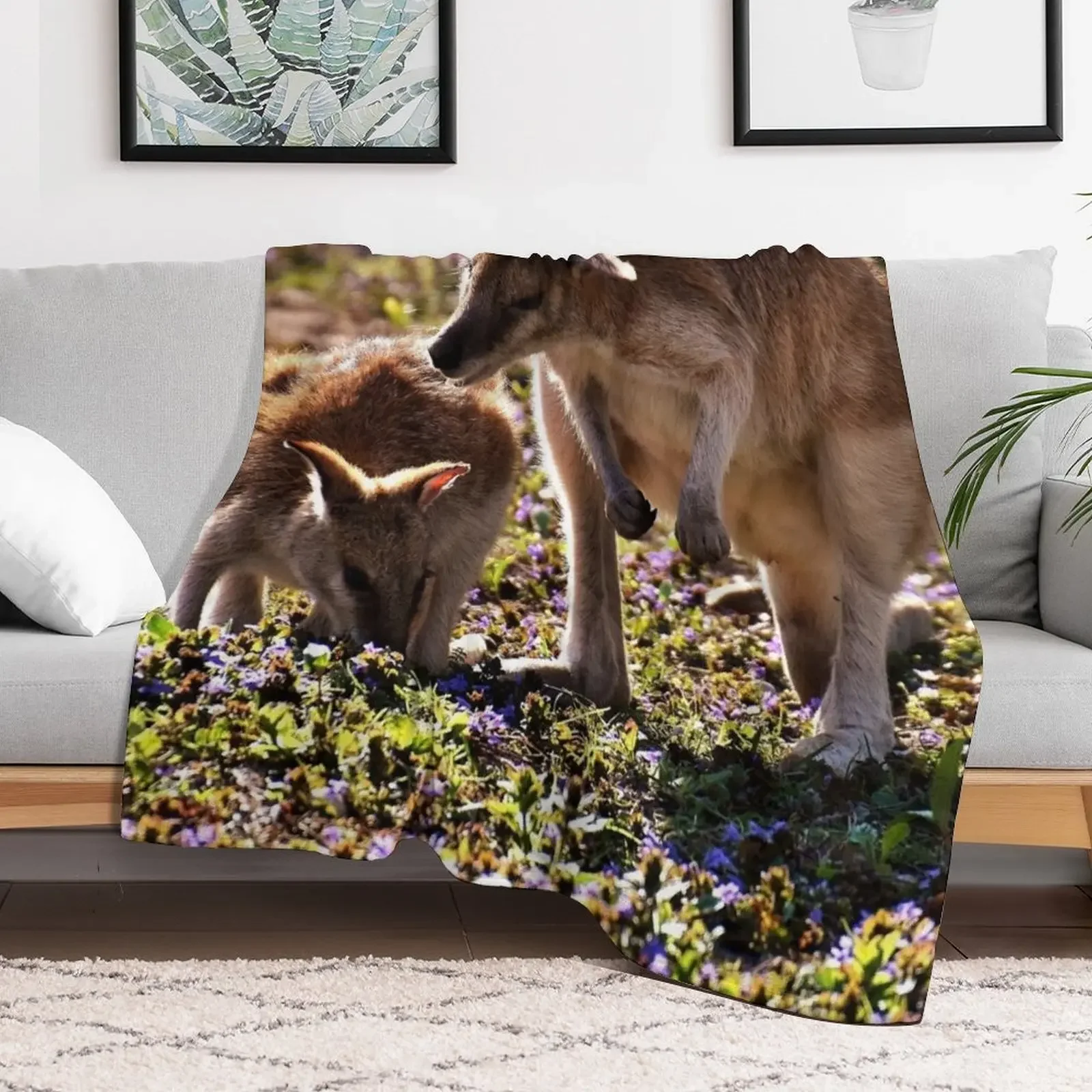 Kangaroo Throw Blanket Moving Weighted Blankets