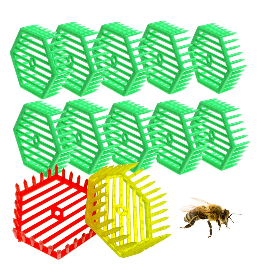 

Queen Bees Push In Cage Insert Into Comb Against Trap Isolation 4.3mm Gap Size Plastic Jail Beekeeping Imker Tool Supplies 50PCS