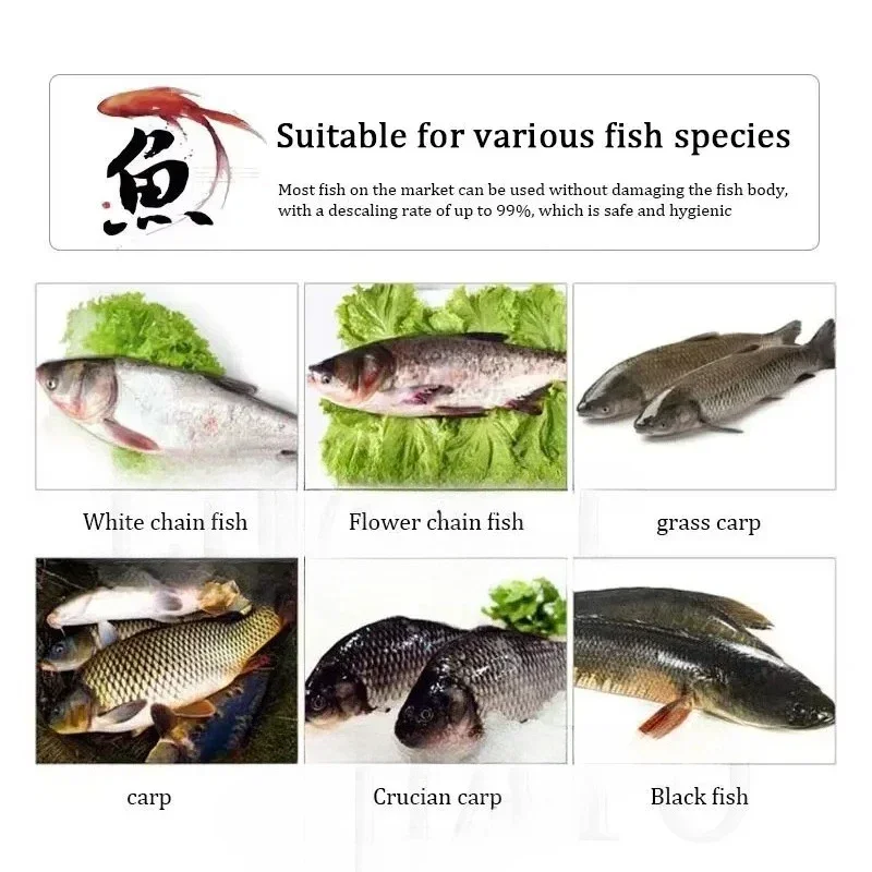 Fish Scale Removing Maker Industrial Fish Remove Scaler Cutting Machine