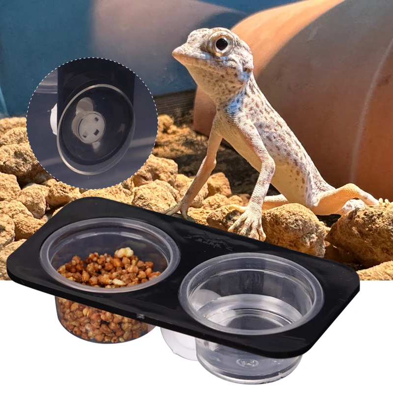Thumbnail 2 - #11 Best Reptile Water Bowls to Buy In 2026