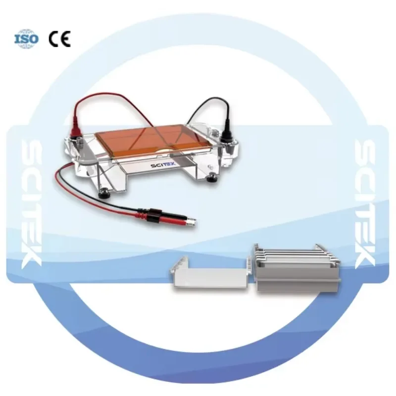 SCITEK High-throughput Horizontal Electrophoresis Tank 1600ml Laboratory Electrophoresis Tank